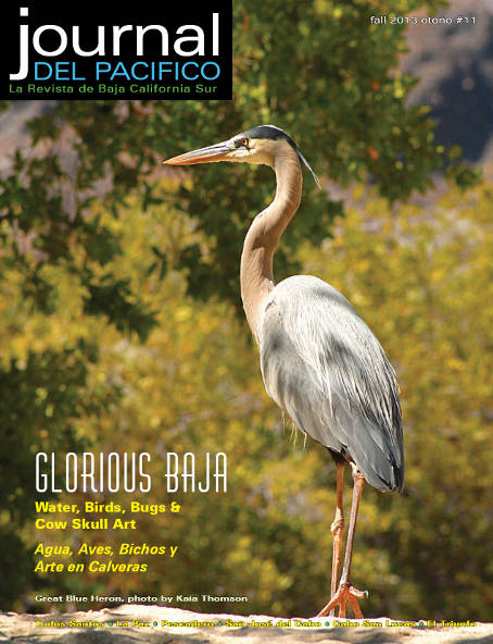 Fall 2013 Issue Cover Journal del Pacifico