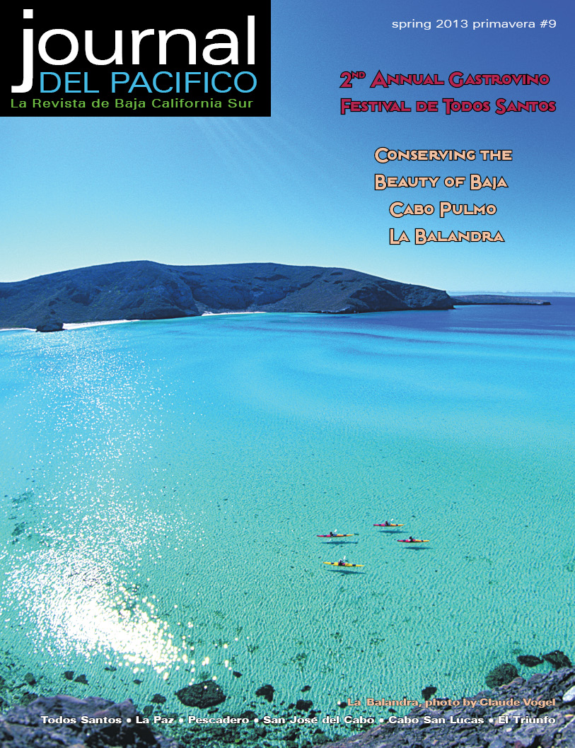 Spring 2013 Issue of Journal del Pacifico