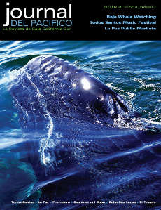 Holiday 2012/2013 Issue Cover Journal del Pacifico