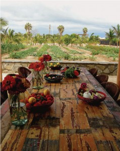 The Garden Restaurant, Rancho Pescadero, Baja, Mexico