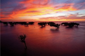 Magdalena Bay by Elizabeth Moreno