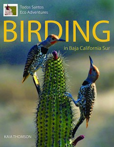 Birding in Baja book by Kaia Thomson, Baja, Mexico