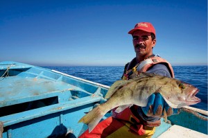 Porfirio Zuñiga displaying a hand-caught sand bass.  Photo: Carlos Aguilar, Baja, Mexico