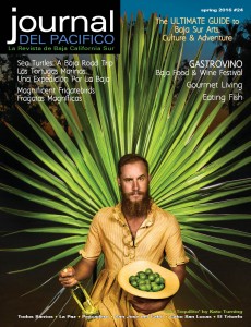Spring 2016 cover of Journal del Pacifico, photo by Kate Turning