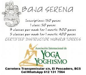 Baja Serena / Yoga Los Arcos, El Pescadero, BCS