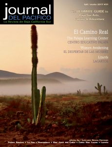 Journal del Pacifico Fall 2017 cover by Bruce Herman, Baja, Mexico