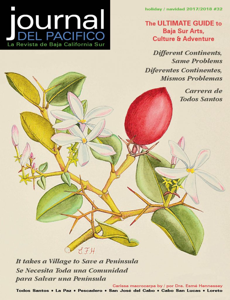 Journal del Pacifico Holiday 2017/2018 cover by Dr. Esme Hennessey
