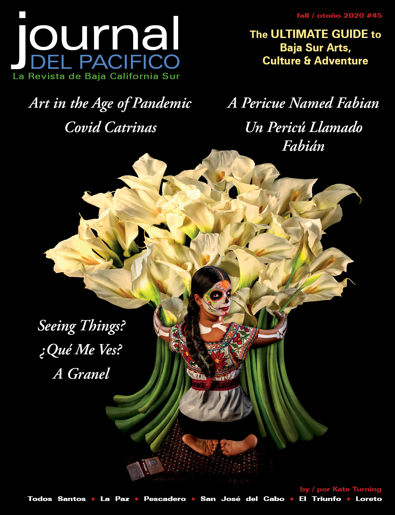 Fall/Otoño 2020 Issue of Journal del Pacifico