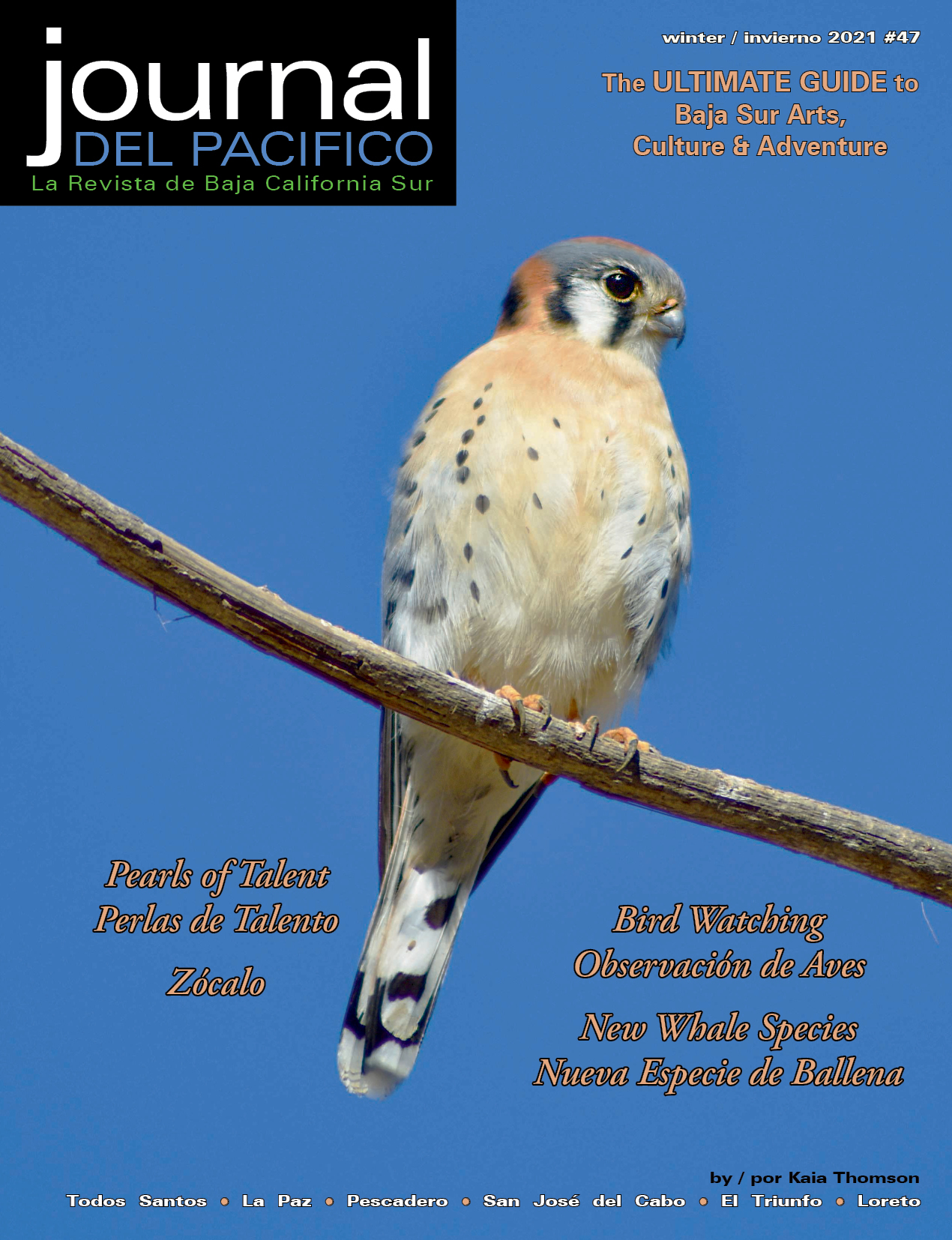 Winter/Invierno 2021 Issue of Journal del Pacifico