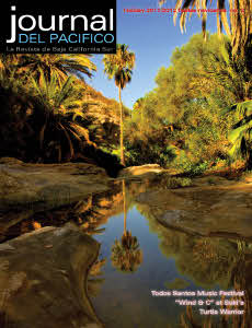 Holiday Issue Cover 2011/2012 Journal del Pacifico 