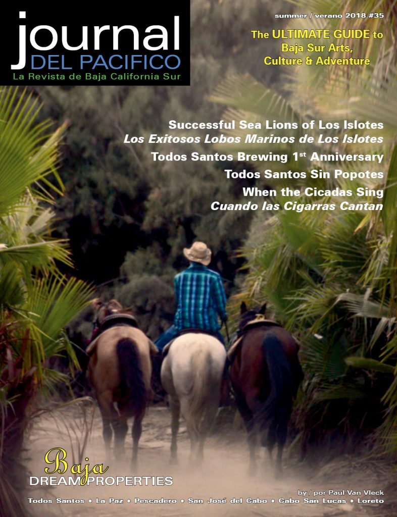 Journal del Pacifico Summer 2018 cover by Paul Van Vleck, Todos Santos, Baja, Mexico