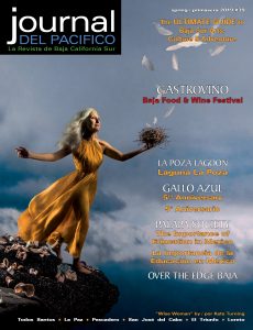 Journal del Pacifico Spring 2019, "Wise Woman" by Kate Turning, Baja, Mexico