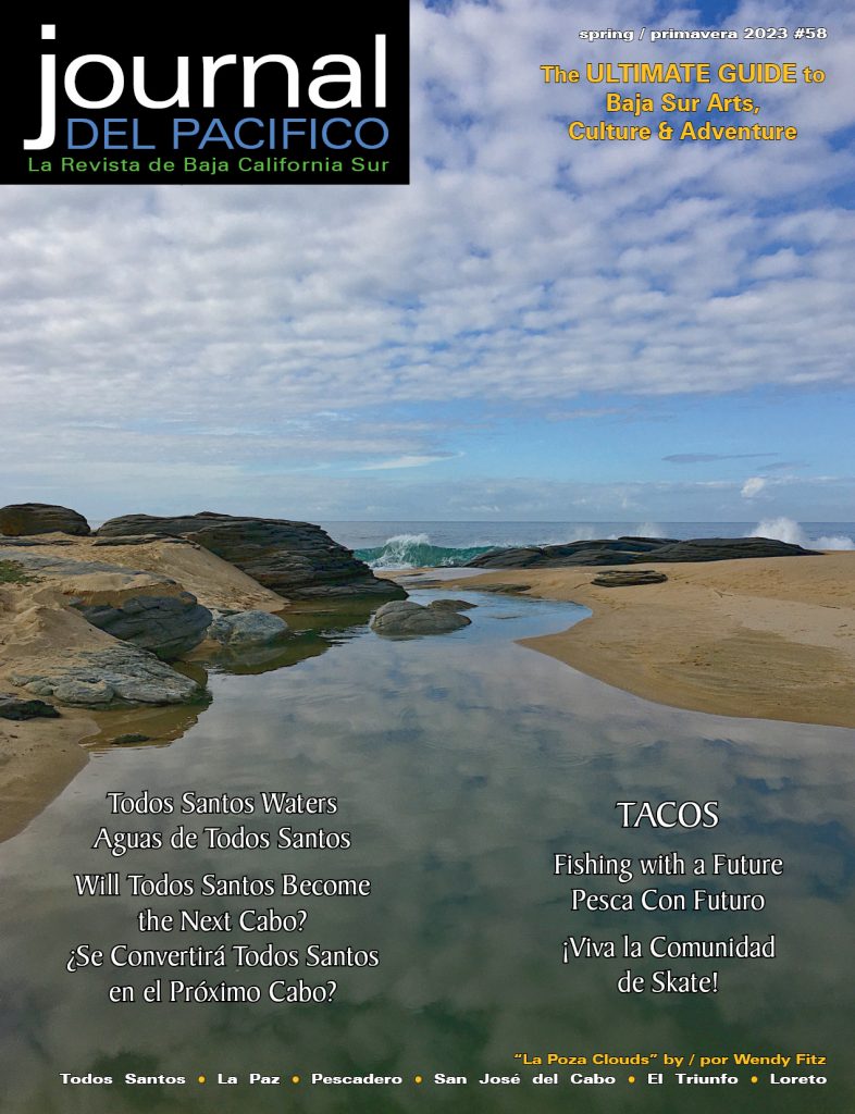 Journal del Pacifico Spring 2023 cover by Wendy Fitz